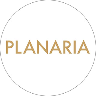 PLANARIA